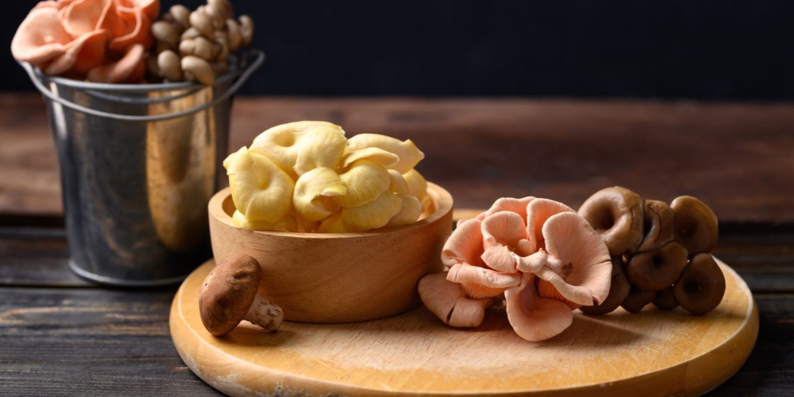 How to Make Mushroom Gummies at Home