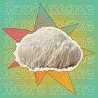 lions mane mushroom gummies
