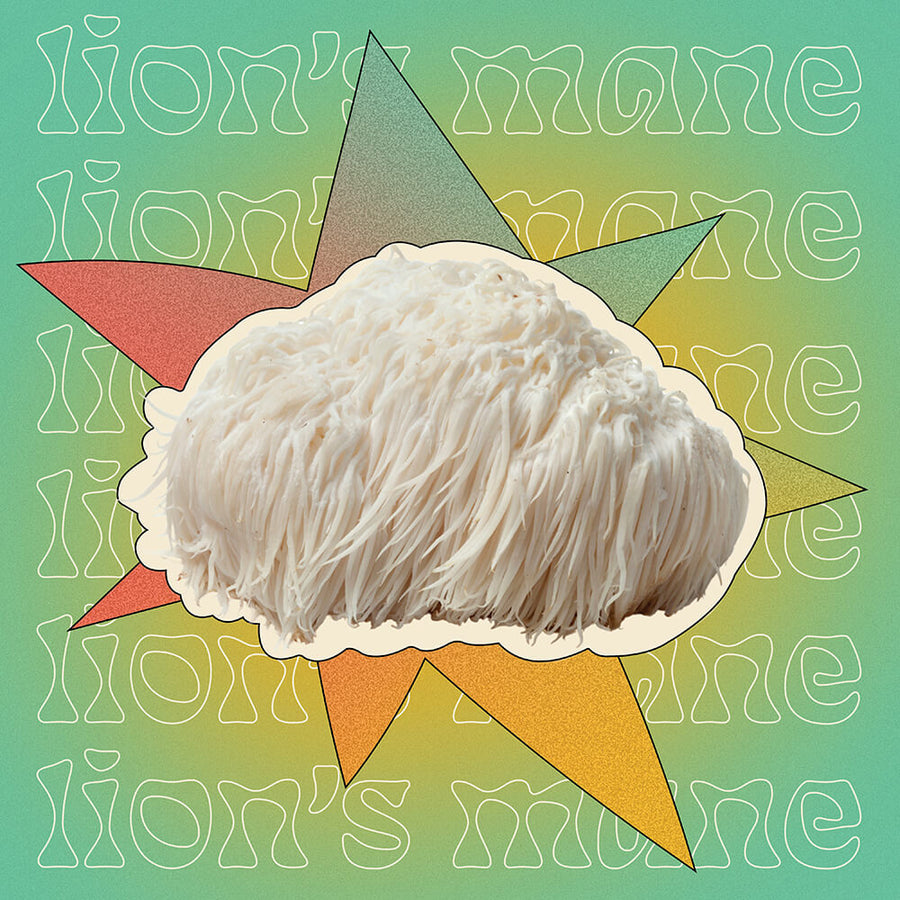 lions mane mushroom gummies