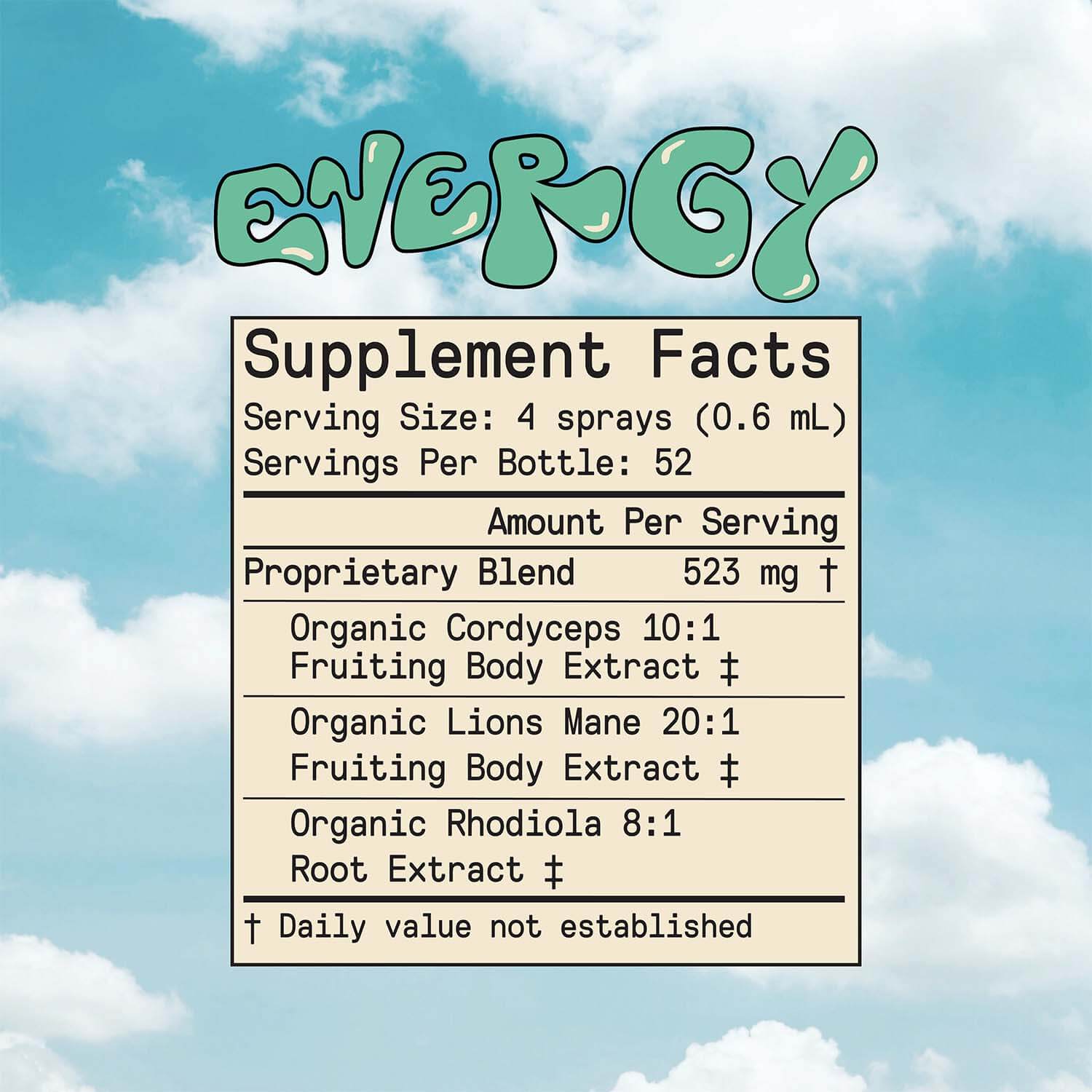 Focus SuperBalanced Bundle