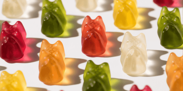 How to Choose the Best Mushroom Gummies