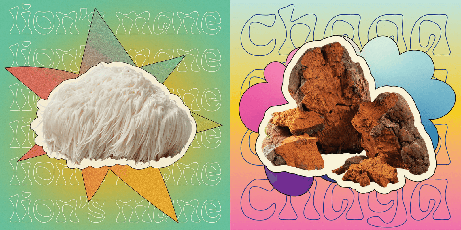 Mushroom Gummies With Lion's Mane and Chaga