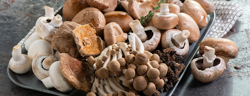 The Rise of Functional Mushrooms for Chronic Pain