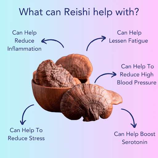 How Mushroom Sleep Gummies Help You Recharge Naturally