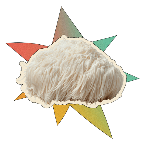 Can I Take Lion's Mane On an Empty Stomach?