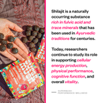 Daily Shilajit Gummies 28 Count