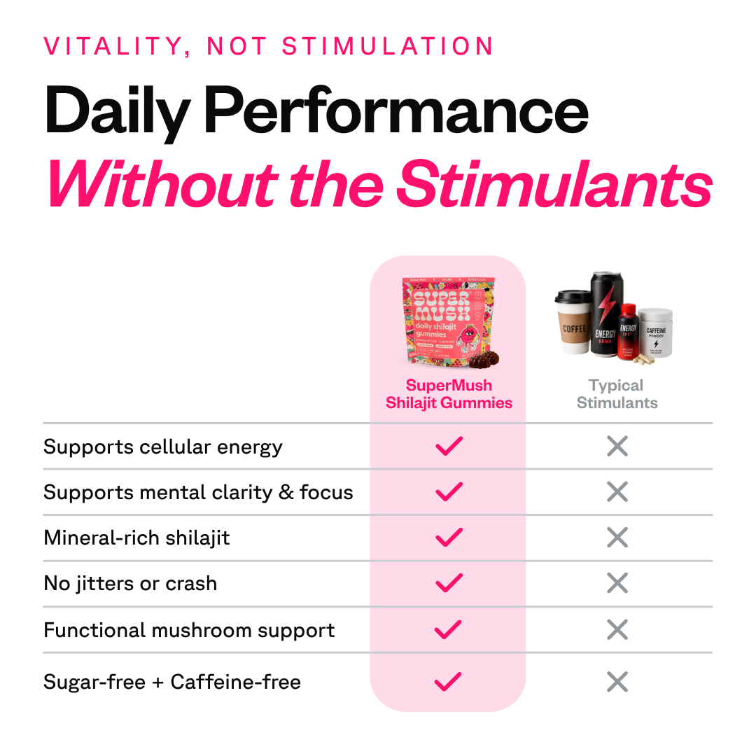 Daily Shilajit Gummies 28 Count