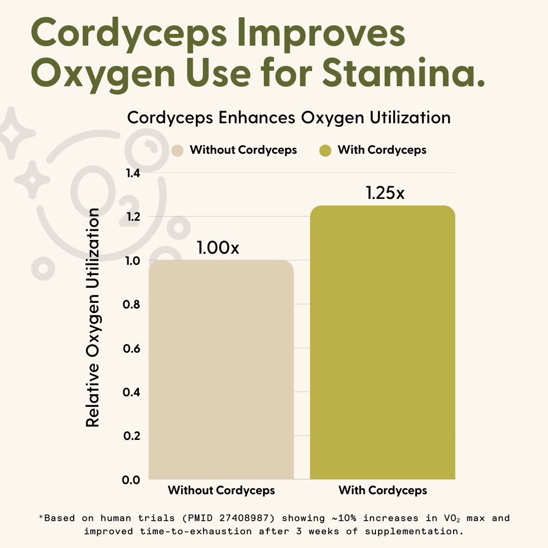 Daily Mouth Spray Bundle