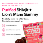 Daily Shilajit Gummies 28 Count