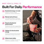 Daily Shilajit Gummies 28 Count