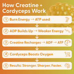 Daily Creatine Gummies 30 Count