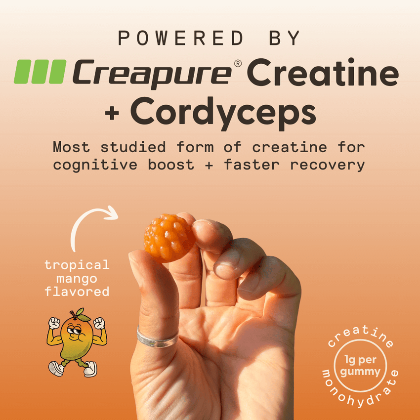 Daily Creatine Gummies + Free Gifts