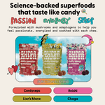 Daily Gummies Bundle 60 Count