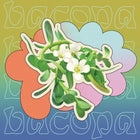 Supermush Key Ingredient - Bacopa