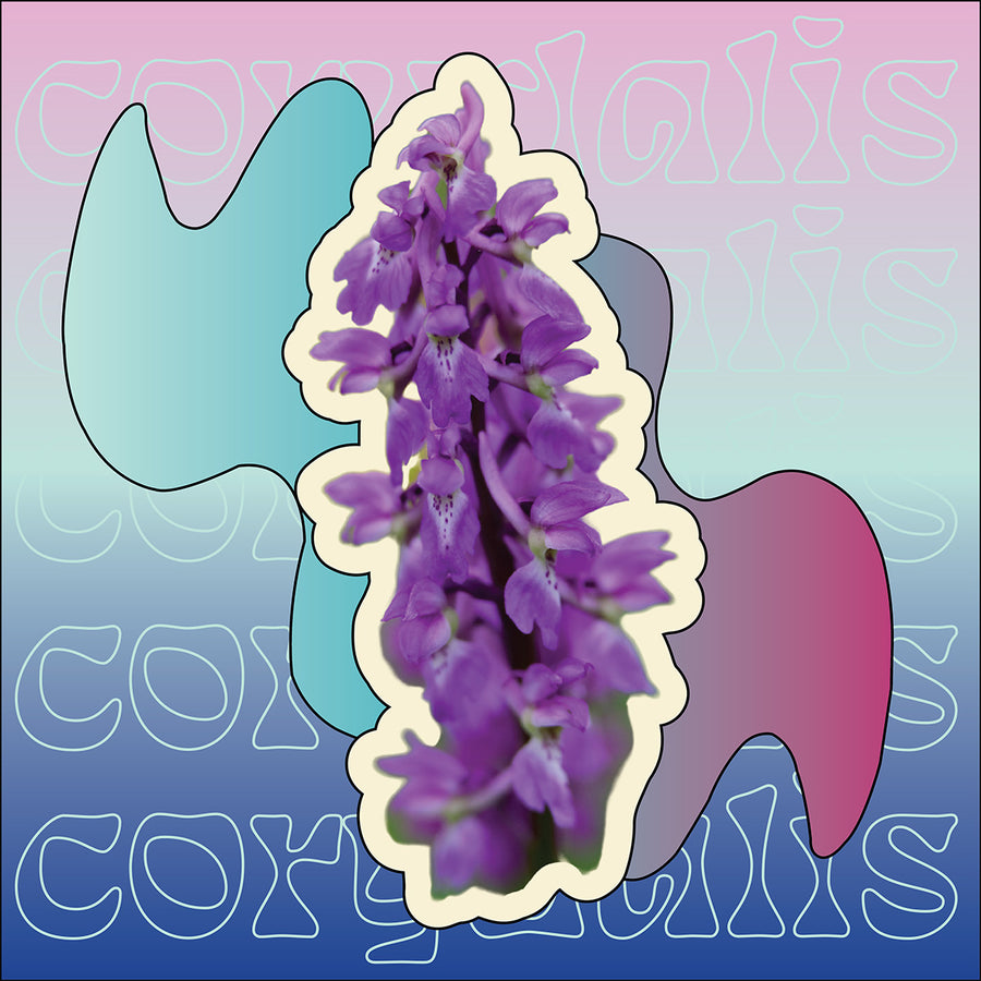 Daily Sleep Gummies daily-sleep-gummies