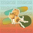 Supermush Key Ingredient - Maca