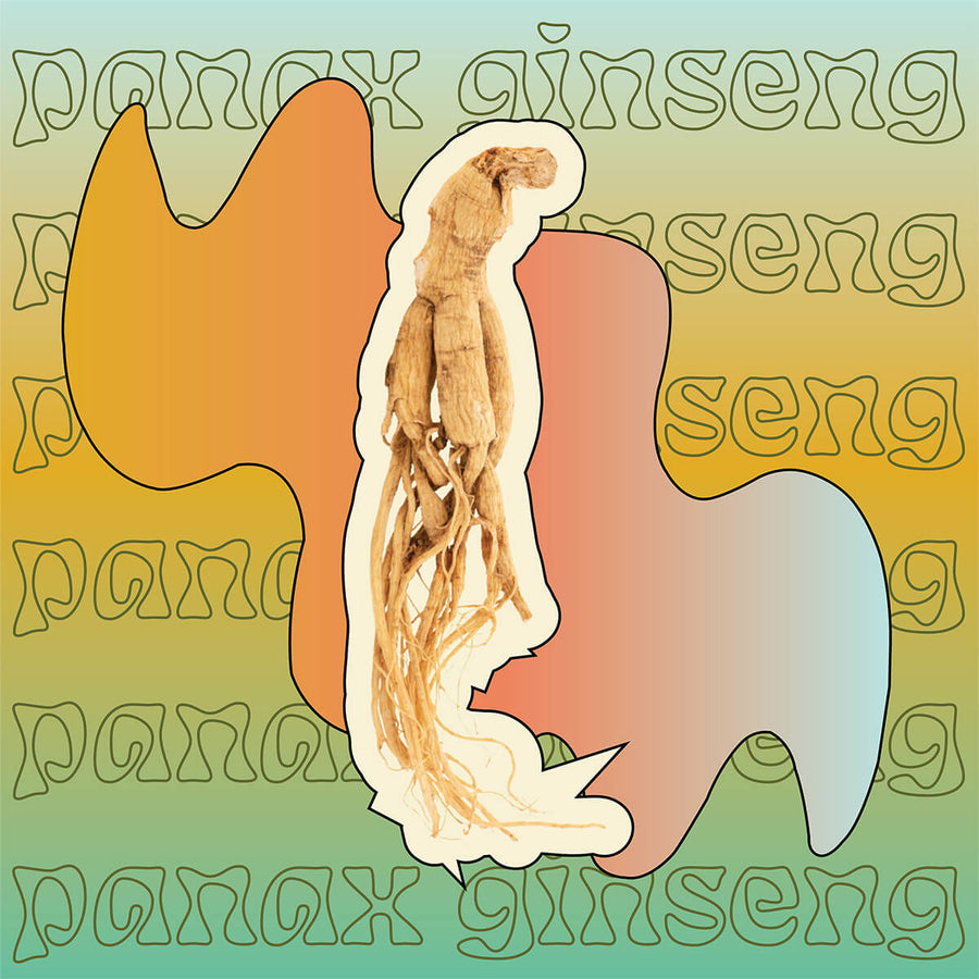 Supermush Ingredient: Panax Ginseng