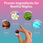 Daily Gummies Bundle + Free Welcome Kit