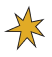 Yellow star icon